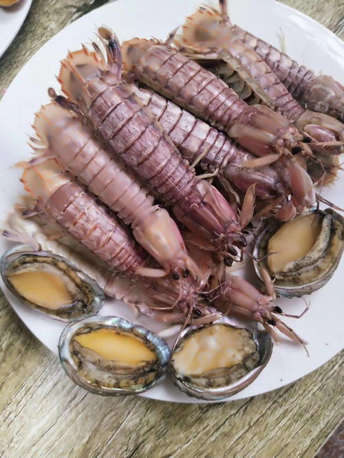 东戴河攻略 美食的诱惑