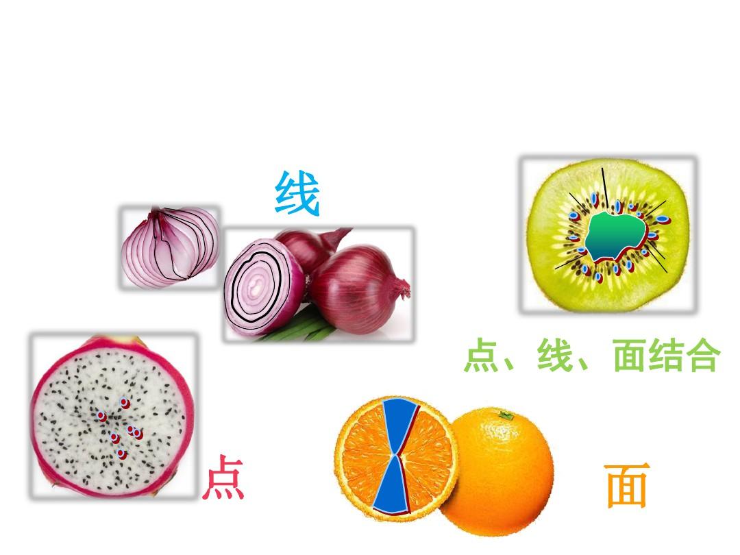 蔬果的剖面2PPT