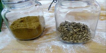 世界首类 芬兰食品公司推出 蟋蟀粉面包