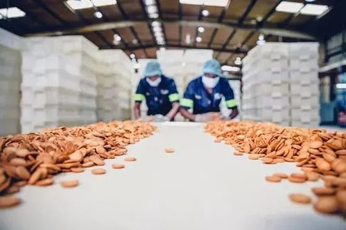 边角料食品 莫让 省钱宝藏 变成 零食刺客 睡前聊一会儿