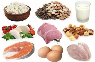 孩子挑食怎么办 让食品专家来帮你